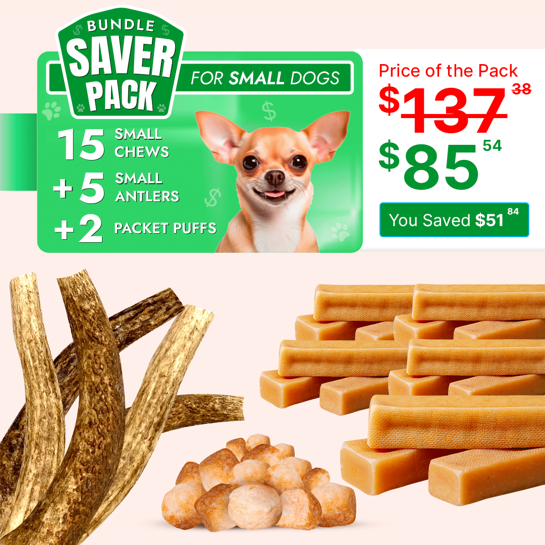 The image shows a bundle of dog chews including yak chews, elk antlers, and cheese puffs, with a small dog on the upper part of the image. The text advertises a saver pack with a discount.