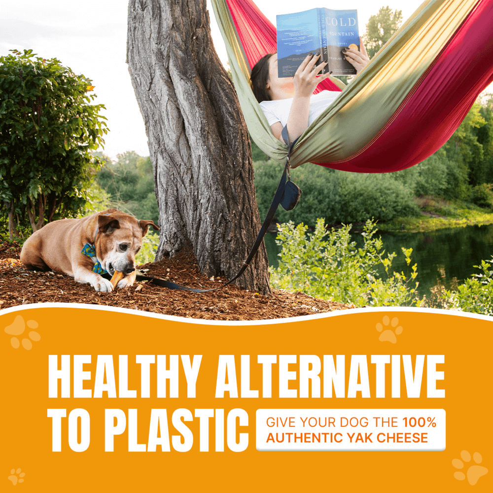 Long Lasting Yak Cheese Chews for Large dogs - 2 sticks
