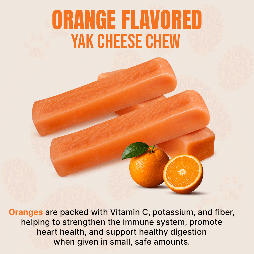 Flavored Yak Cheese Chew for Dogs - Natural & Long-Lasting Tasty Treats