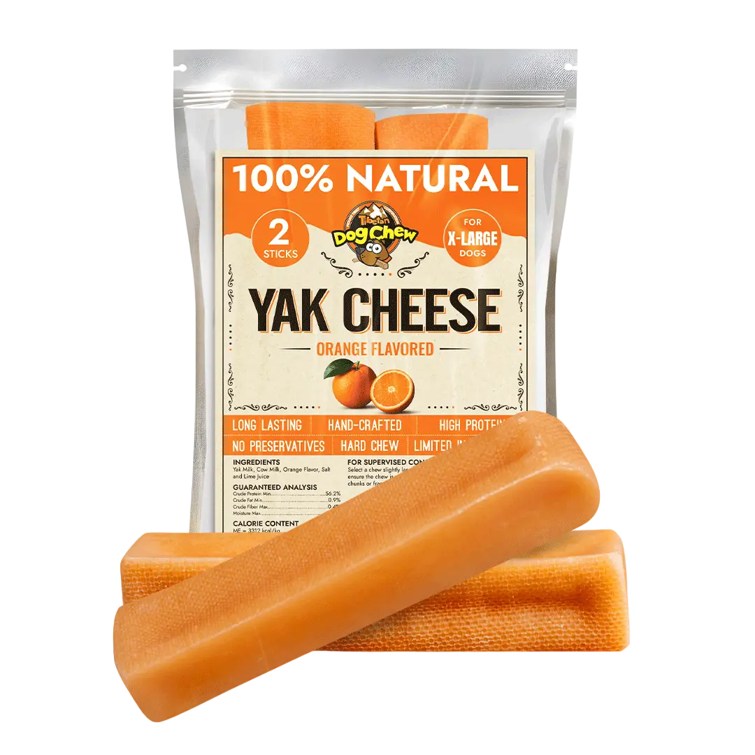 Orange Dog Chew – Natural & Long-Lasting Citrus Yak Milk Chew