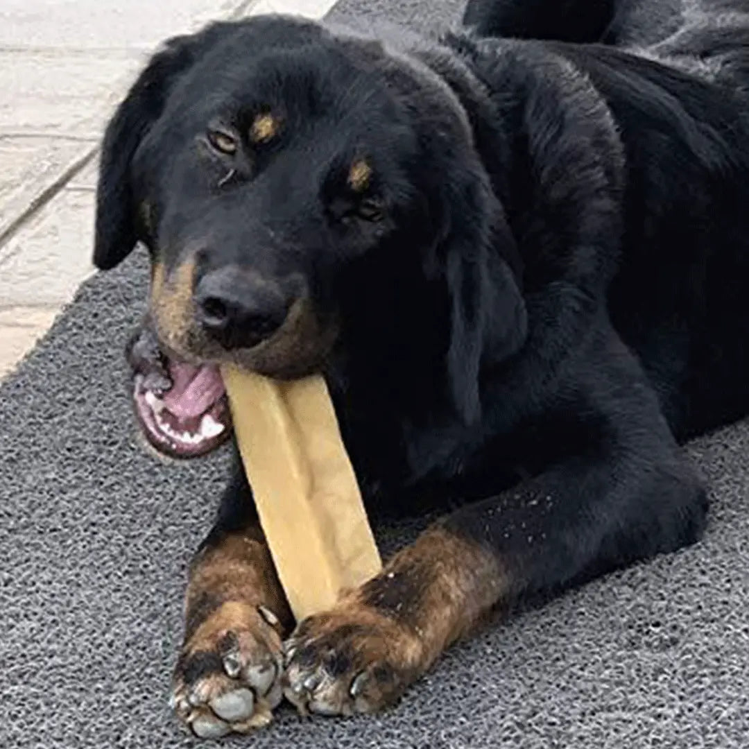 Jumbo Dog Dental Chew Bundle – Extra Thick Himalayan Yak Chews & Elk Antlers for Power Chewers Under 100 lbs