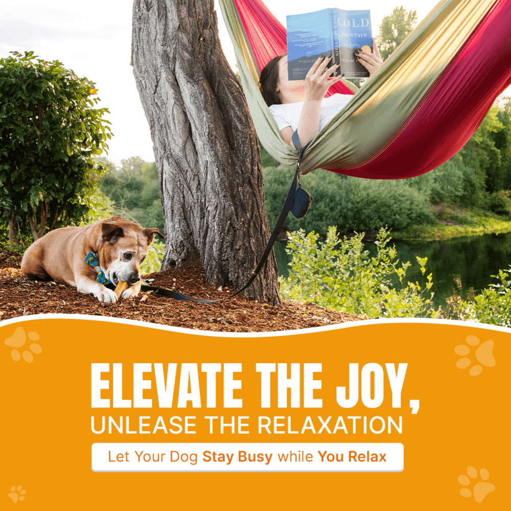 Let Your Dog Stay Busy While Your Relax