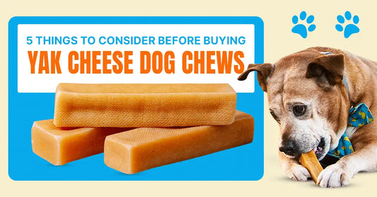 5 Things to Consider Before Buying Yak Cheese Dog Chews