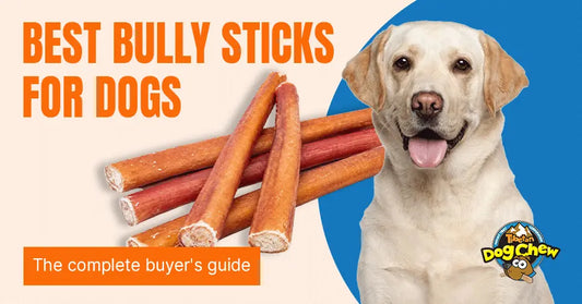 Best bully sticks for dogs: the complete buyer's guide