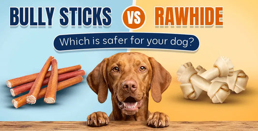 Bully sticks vs. rawhide: which is safer for your dog?
