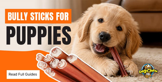 Puppy chewing on a bully stick with text about bully sticks for puppies.