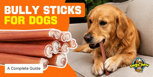 Bully sticks for dogs: the complete guide