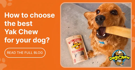 How to Choose the Best Yak Chew for Your Dog: A Complete Buying Guide