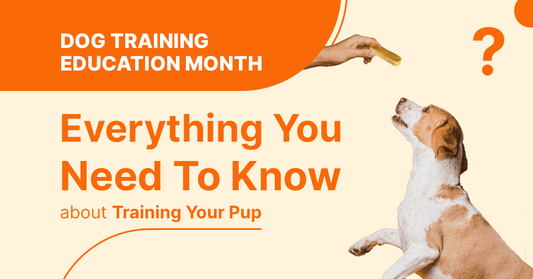 Dog Training Education Month: Tips & Benefits for Effective Training