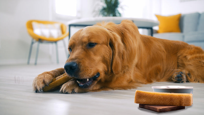 How Are Yak Cheese Dog Chews Made? A dog with a natural, longlasting yak chew