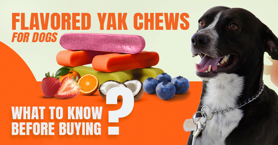 Your Dog’s Next Favorite Chew: Flavored Yak Cheese Chews
