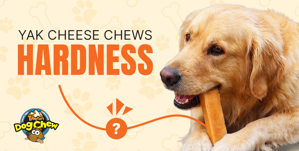 Are Yak Chews Too Hard for Dogs or Just Okay?