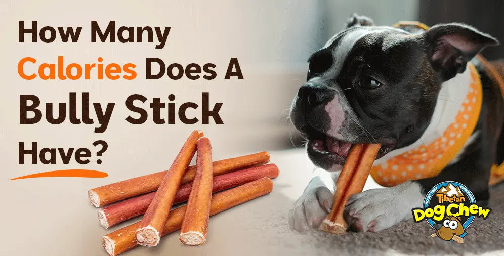 Bully stick calories and nutrition: What's really in one