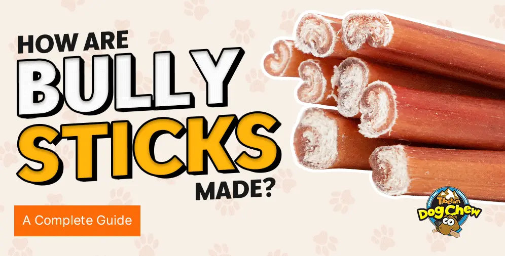 How are bully sticks made? The full manufacturing process explained