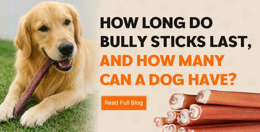 How Long do bully sticks last