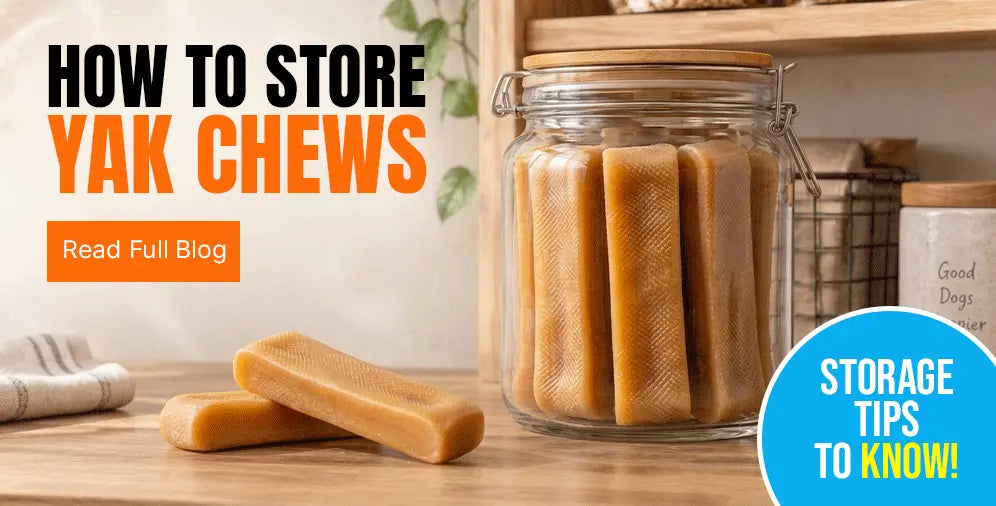 How to Store Yak Chew and Other Treats