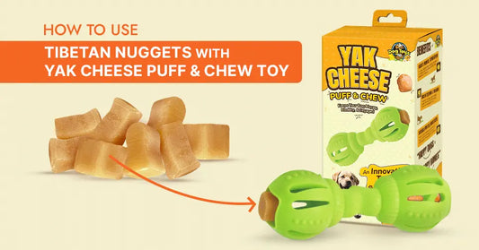 How to Use Tibetan Puff & Chew Toy with Yak Nuggets
