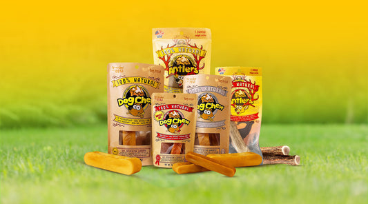 Image of dental sticks for large dogs