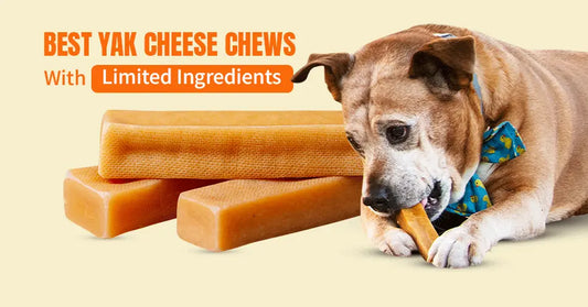 Yak Chew: The Best Limited Ingredient Dog Treat