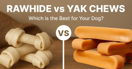 Rawhide vs Yak Cheese Chews: Which is the Best for Your Dog?