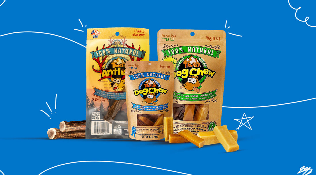 Best Long Lasting Chew for Dogs: Top Durable Treats Reviewed