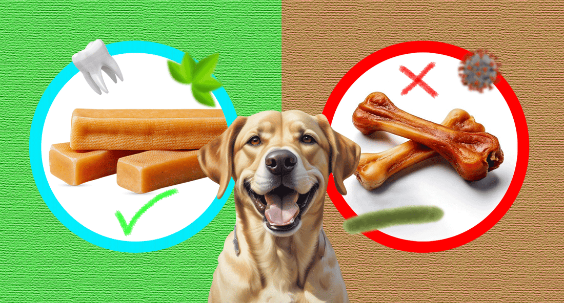 Yak Chews vs Raw Bones: Which is Better?