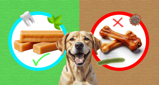 Yak Chews vs Raw Bones: Which is Better?