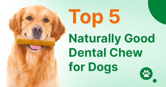 Top 5 Naturally Good Dental Chew for Dogs