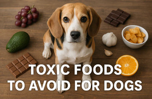 20 Toxic Foods for Dogs to Avoid at Any Cost