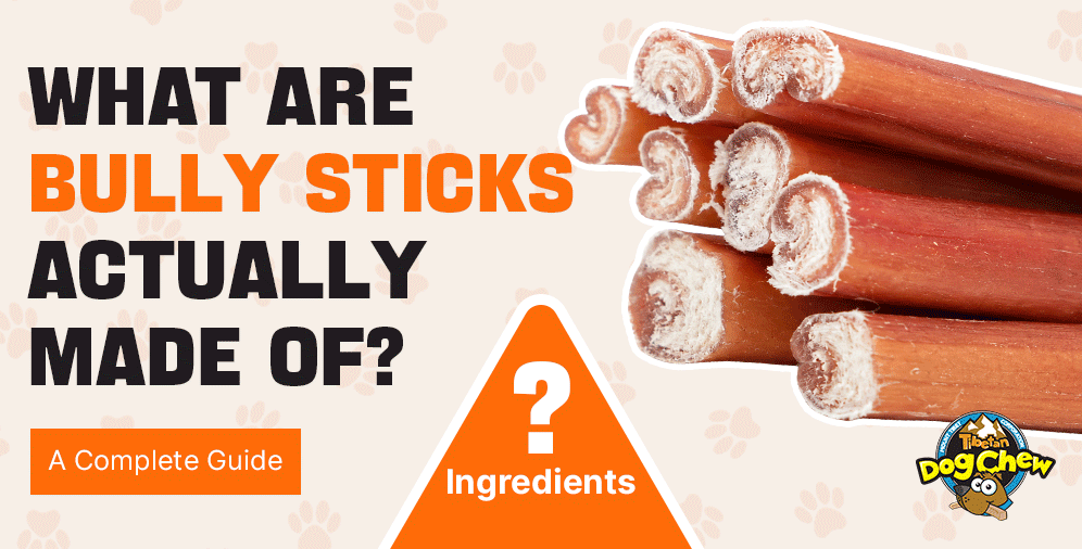 What are bully sticks made of? A clear answer for dog owners