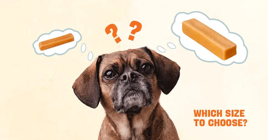 What Size Yak Chew Should I Get for My Dog
