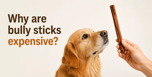 Why are bully sticks so expensive? The real cost factors