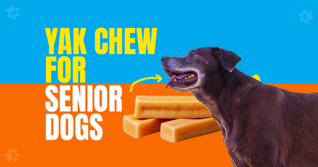 Yak Dental Chews for Senior Dogs