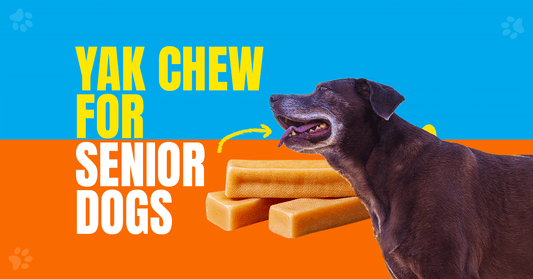 Yak Dental Chews for Senior Dogs