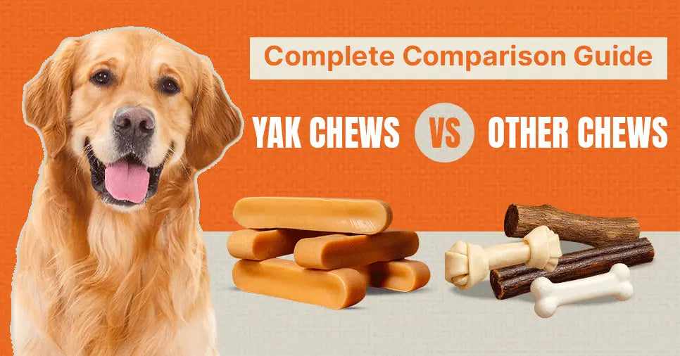 Yak Chews vs Other Dog Chews: Complete Comparison Guide