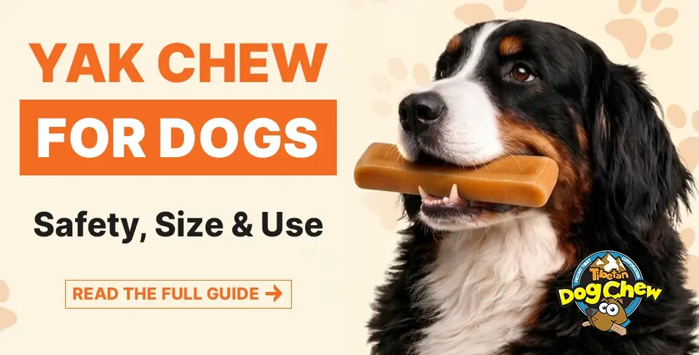 Yak Chews for Dogs: The Complete Guide to Safety, Sizing, Ingredients & Use