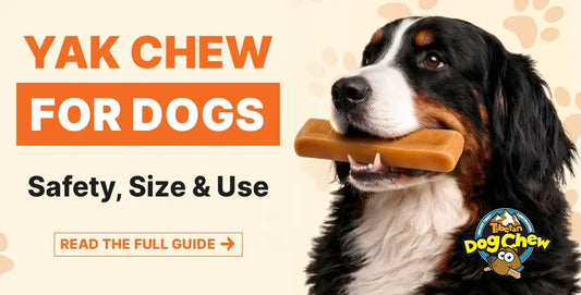Yak Chews for Dogs: The Complete Guide to Safety, Sizing, Ingredients & Use
