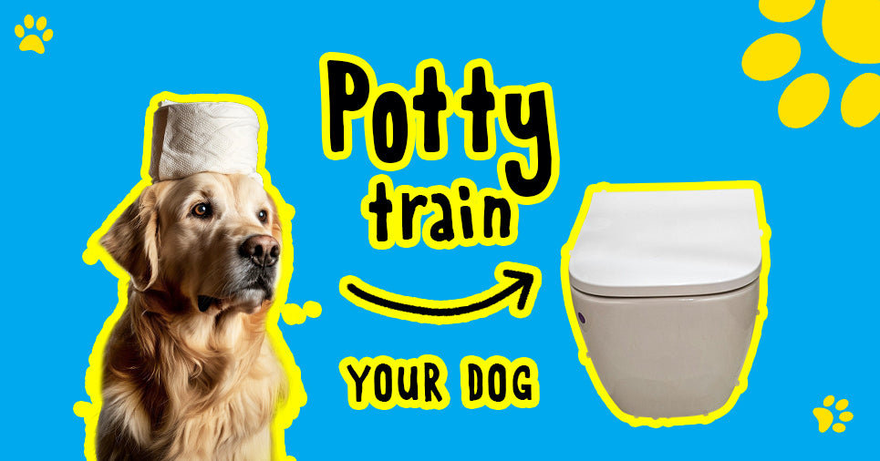 Potty training for dogs: Behaviour training