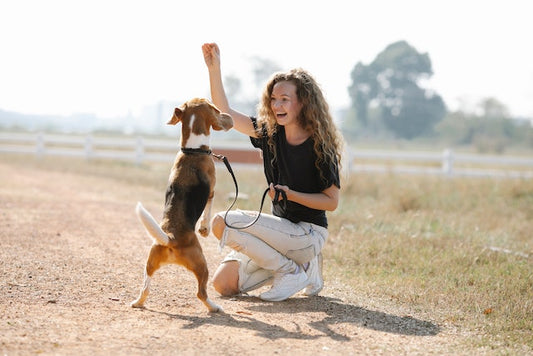 10 Mistakes First-Time Dog Owners Make