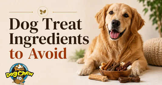 Image of a labrador with text Dog Treat Ingredients to Avoid