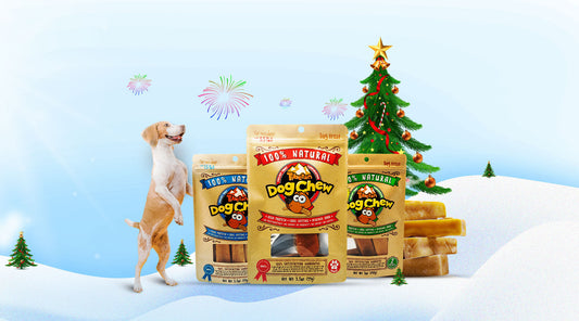 Holidays Away? Treat Your Pup with our Exclusive Bulk Offers!