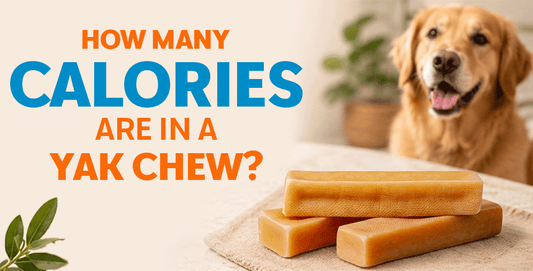 How Many Calories Are in a Yak Chew? Calorie Chart by Size & Feeding Guide