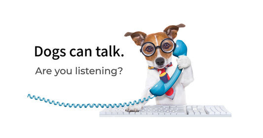 Dogs can talk. Deciphering Verbal Commuication in Dogs