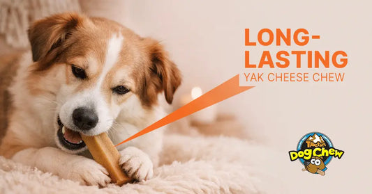Long Lasting Yak Chews
