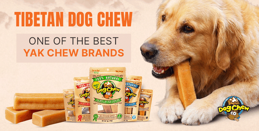 Why Tibetan Dog Chew Is One of the Best Yak Chew Brands?