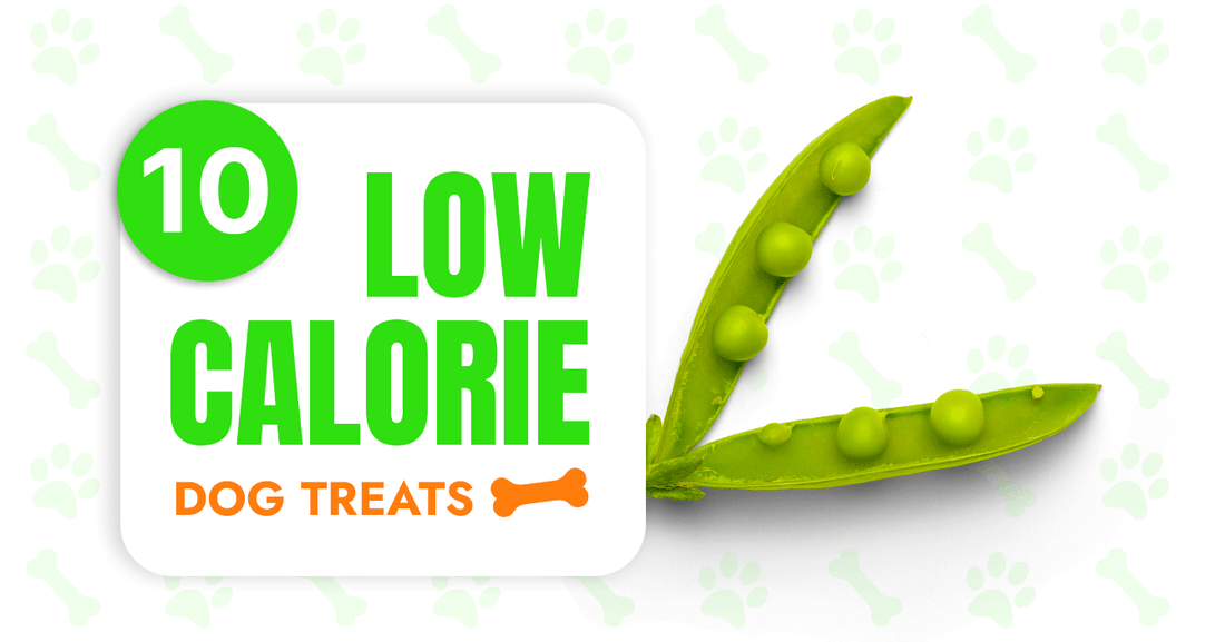 Best Low Calorie Dog Treat: Top Healthy Picks for Happy Pets
