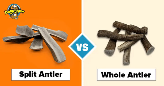 Whole VS Split Antler Chews - Which Is The Best For Your Pup?