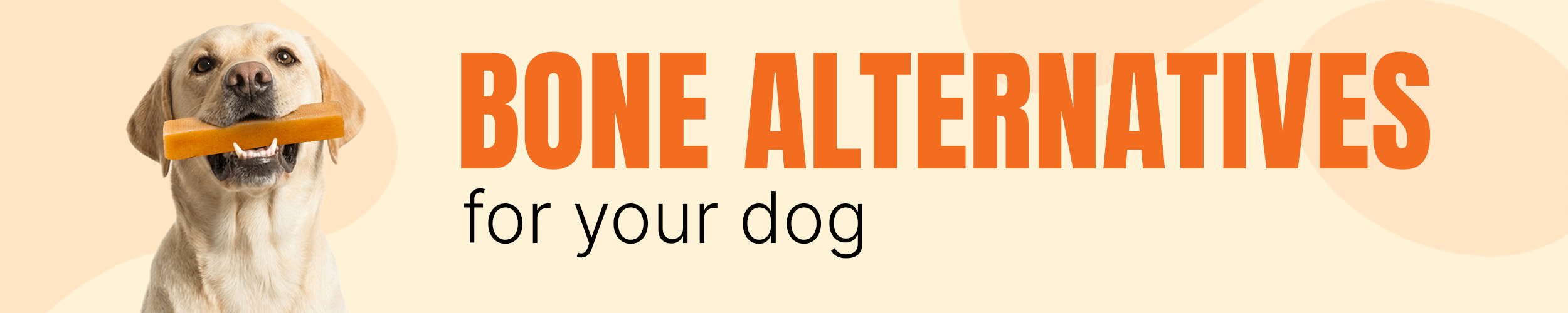 Bone Alternatives for Dogs