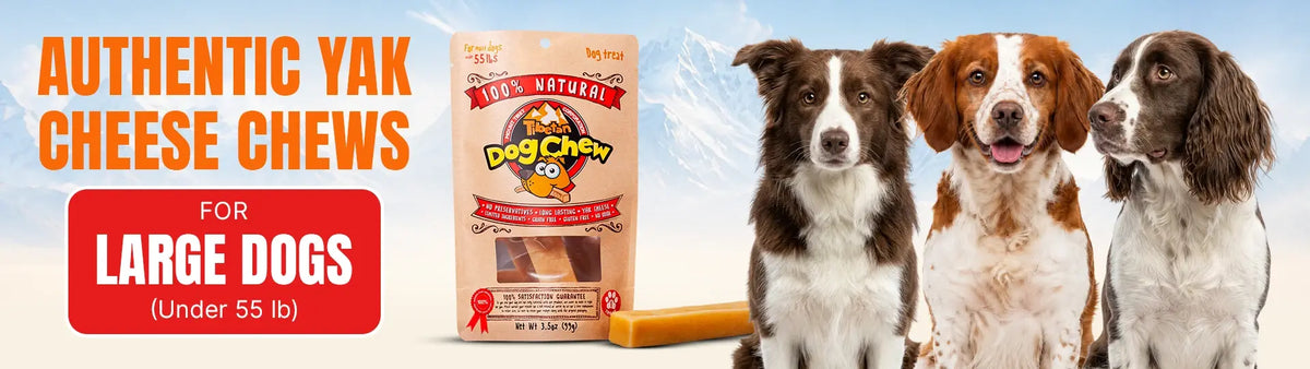 Chew and Treats for Large Dogs (under 55lbs)