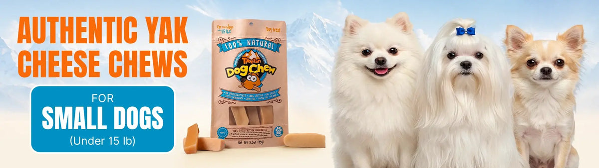 Chew and Treats for Small Dogs (under 15lbs)